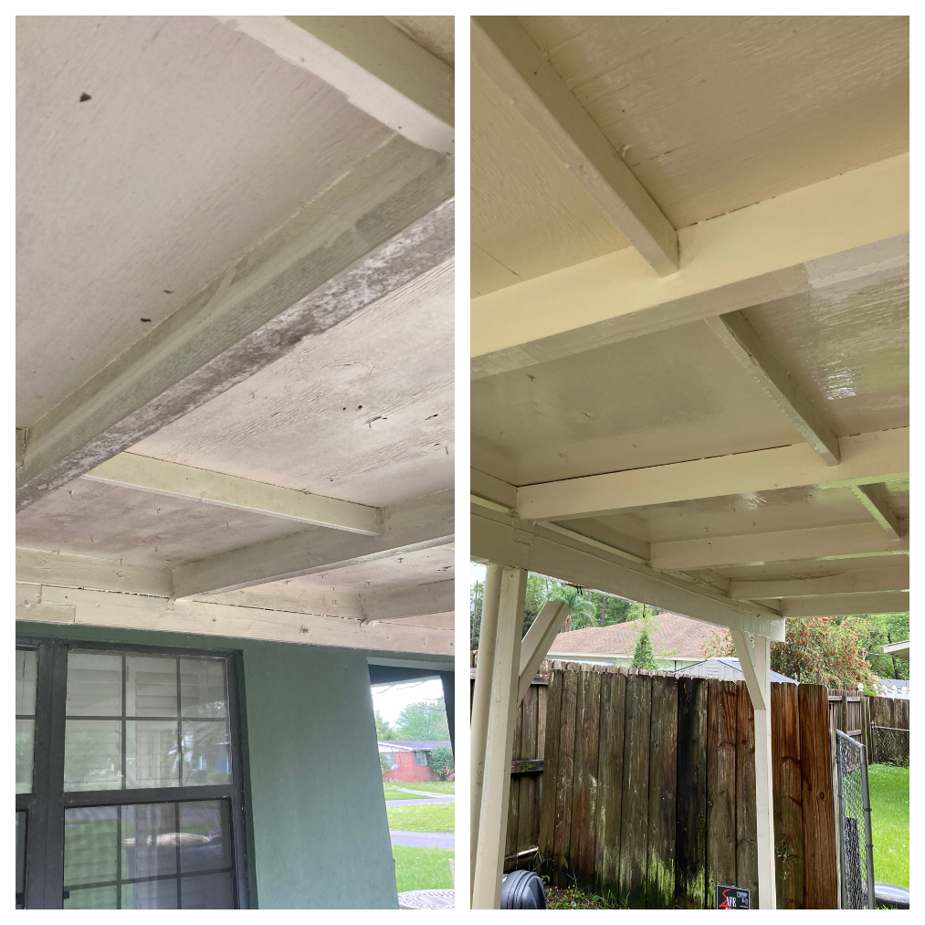 House Washing, Patio Cleaning, and Carport Cleaning in Jacksonville, FL